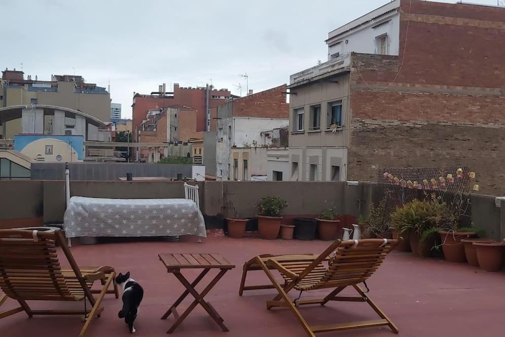 Small Room In Sants With Huge Terrace Барселона Екстер'єр фото