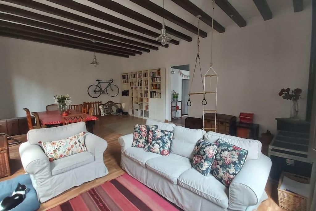Small Room In Sants With Huge Terrace Барселона Екстер'єр фото